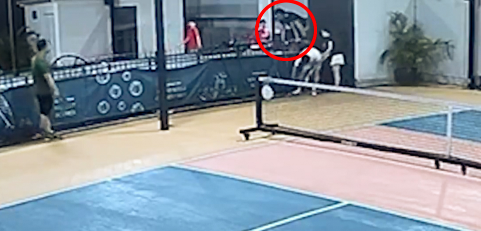 NINTCHDBPICT001045066091