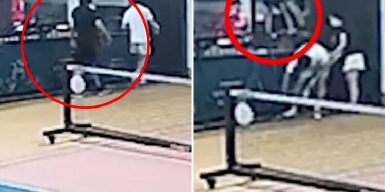 Horror moment pickleball player plunges to his death while trying to retrieve ball on rooftop court