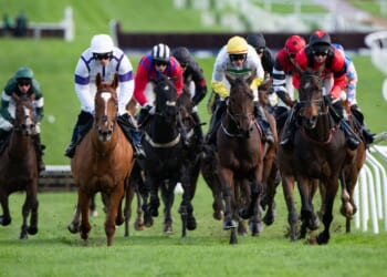 Templegate's Tote Placepot tips with £100,000 guaranteed at Cheltenham on Friday