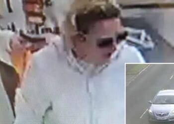 Cops release CCTV in hunt for missing woman, 53, who was last seen five days ago travelling in a car to Stonehenge