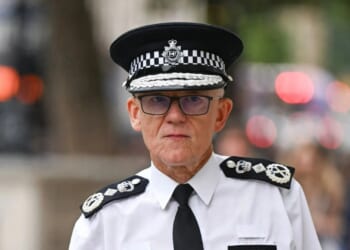 Shops need to 'roll up their sleeves' & do more to catch thieves, UK's most senior police officer claims