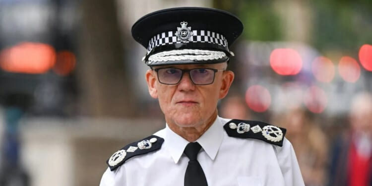 Shops need to 'roll up their sleeves' & do more to catch thieves, UK's most senior police officer claims