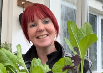 Brighten your winter days by growing mood-boosting windowsill herbs and plants