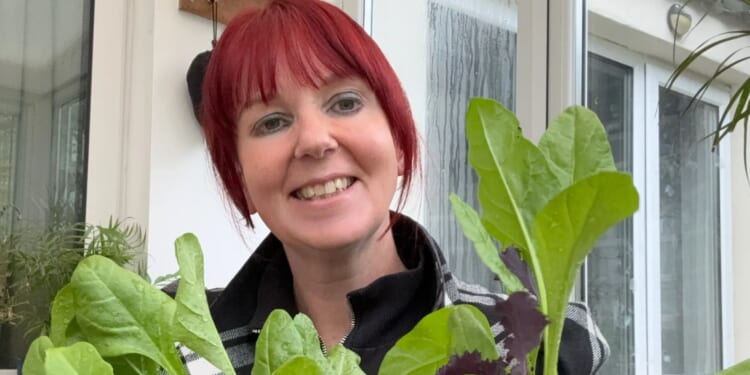 Brighten your winter days by growing mood-boosting windowsill herbs and plants