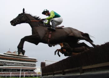 Punter collects winnings from bet 16 YEARS after race finished when he found betting slip while cleaning out clothes