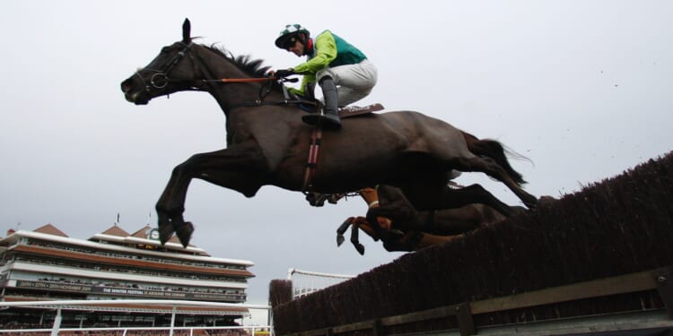 Punter collects winnings from bet 16 YEARS after race finished when he found betting slip while cleaning out clothes