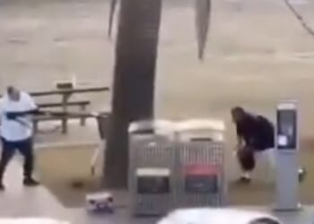 Incredible moment brave bystander tackles Bondi Beach gunman after mass shooting