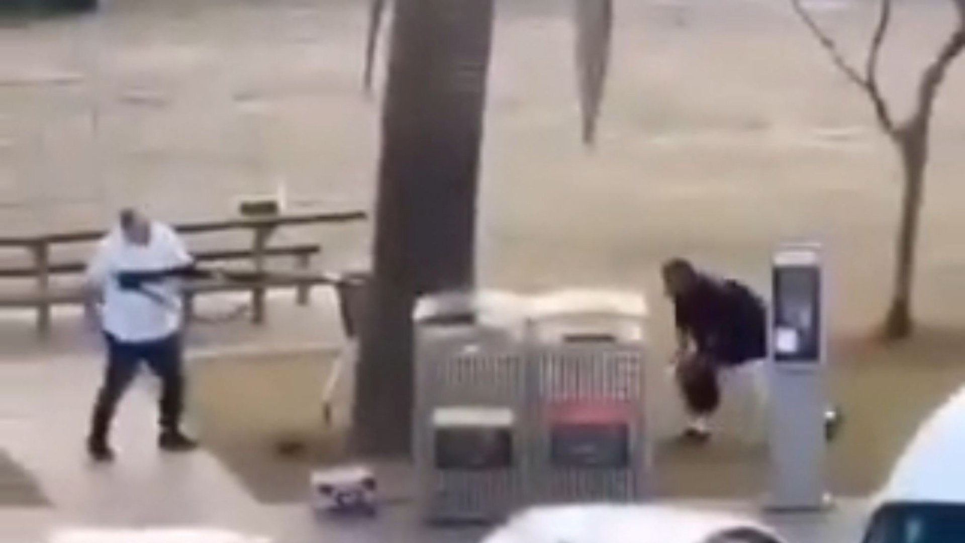Incredible moment brave bystander tackles Bondi Beach gunman after mass shooting