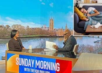 Militant doctors putting lives at risk by striking during superflu… they need to realise what's at stake, Home Sec slams