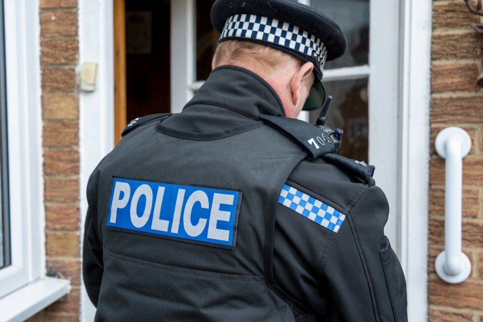 NINTCHDBPICT001045770712