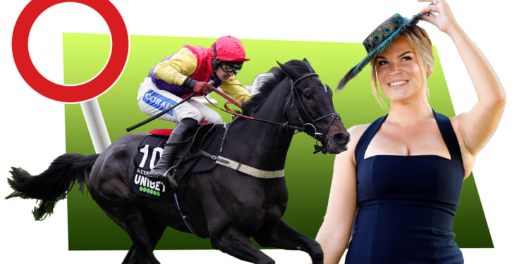 Enjoy bargain packages for four unbeatable days of racing