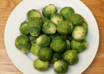 Over 50 million individual sprouts will end up in food waste bins this Christmas