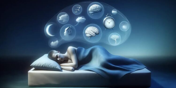 Such stuff as dreams are made on | David Thomas