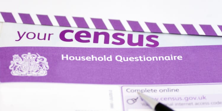 Emergency census should be held next year as mass immigration piles pressure on Britain, warns report