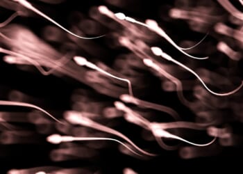 Sperm bank forces donors to take IQ tests as parents demand brainy babies