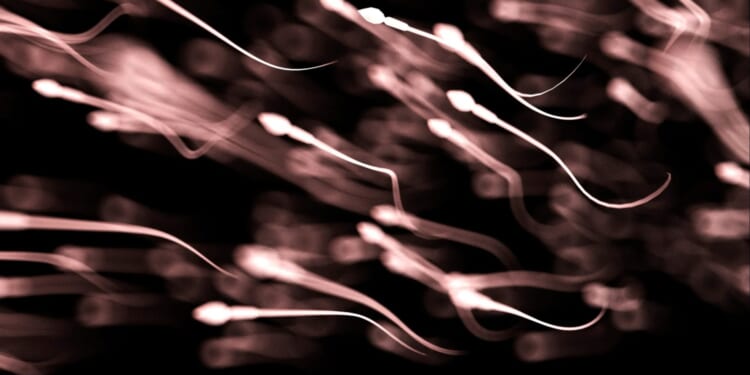 Sperm bank forces donors to take IQ tests as parents demand brainy babies