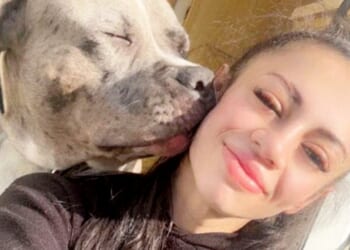 Owner of XL Bully avoids jail after launching ‘campaign of abuse’ against cop who shot dog dead when it went on rampage