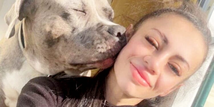 Owner of XL Bully avoids jail after launching ‘campaign of abuse’ against cop who shot dog dead when it went on rampage