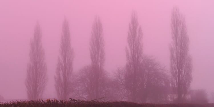 Rare pink fog descends on Britain leaving locals baffled