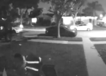 Moment delivery driver pets homeowner's cat before stealing her