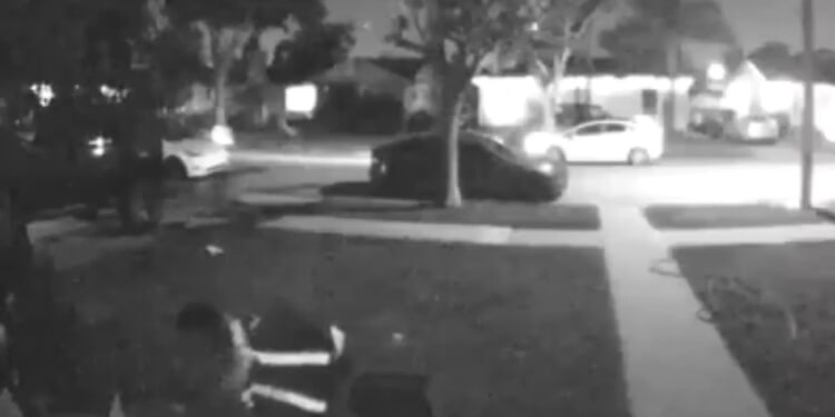 Moment delivery driver pets homeowner's cat before stealing her