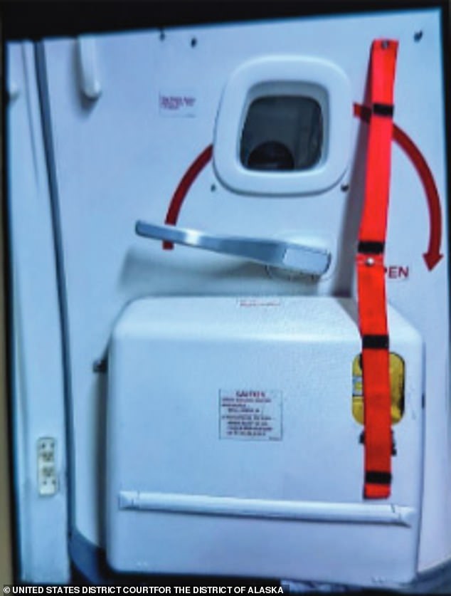 Fredericks allegedly detached the strap from the rear door of the plane and attempted to open the latch