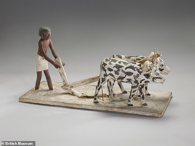 A wooden sculpture of oxen pulling a plough is included in the loan