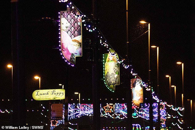 The leader of Blackpool Council councillor Lynn Williams has leapt to the defence of the ex-Changing Rooms star, 60, saying that 'people travel from all over to see them'.