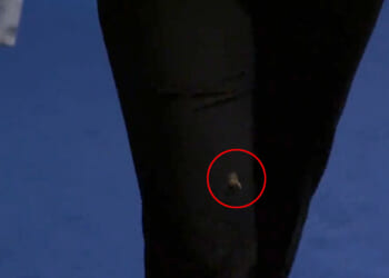 Female snooker referee survives 'most dramatic thing of evening' as wasp lands on her during Scottish Open