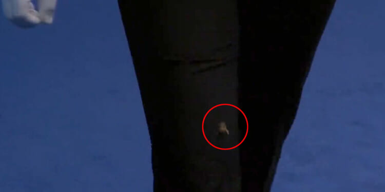 Female snooker referee survives 'most dramatic thing of evening' as wasp lands on her during Scottish Open