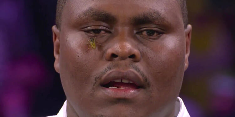 Ally Pally wasp lands on David Munyua's FACE as he becomes everyone's 'favourite player' at World Darts Championship