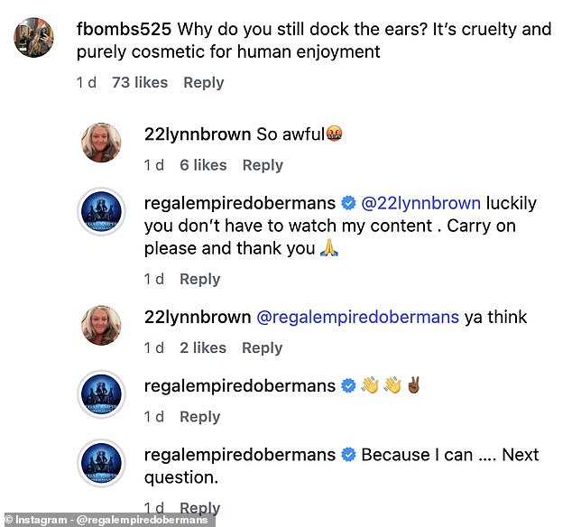 When asked why he 'docked the ears', Biles' breeder simply replied: 'Because I can'