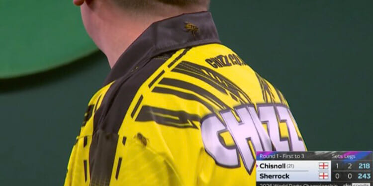 World Darts Championship star attacked by TWO WASPS after unfortunate wardrobe malfunction as he beats Fallon Sherrock