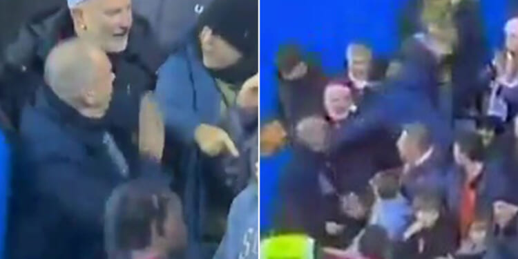 Shocking moment Luton fan PUNCHES fellow supporter in face live on Sky Sports after Reading defeat