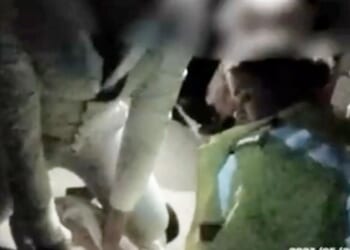 Moment drunk usher who BIT wedding guest’s finger off at reception is tackled to floor in front of horrified partygoers