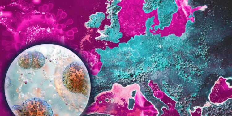 The 'hidden epidemic' tearing through Europe as cases of nightmare 'superbug' skyrocket 300%