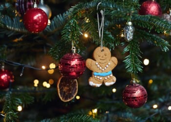 Major supermarket selling real 6ft Christmas trees for just £6 instead of £25