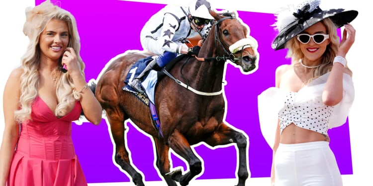 how to book tickets and hotels for Cheltenham, Ascot and the Grand National