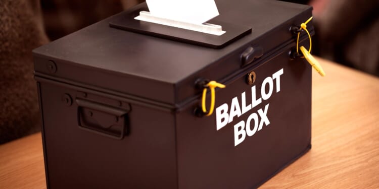 Labour damaging trust in democracy by delaying MORE elections, watchdog warns