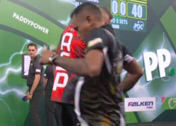 World Darts Championship clash STOPPED by wasp as Lourence Ilagan runs away leaving Wayne Mardle screaming