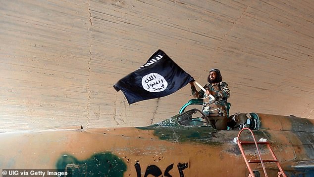 Islamic State fighter pictured waving a flag while standing on captured government fighter jet in Raqqa, Syria