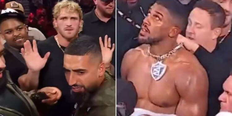 Anthony Joshua's security forced to confront Logan Paul as he tries to snatch boxer's £370k chain after Jake Paul fight