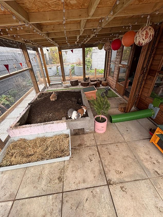 The couple's rescue centre, Carrot Cottage, became the centre of a toxic online feud after they ‘followed back’ an account on social media platform X which had incurred the wrath of trans activists