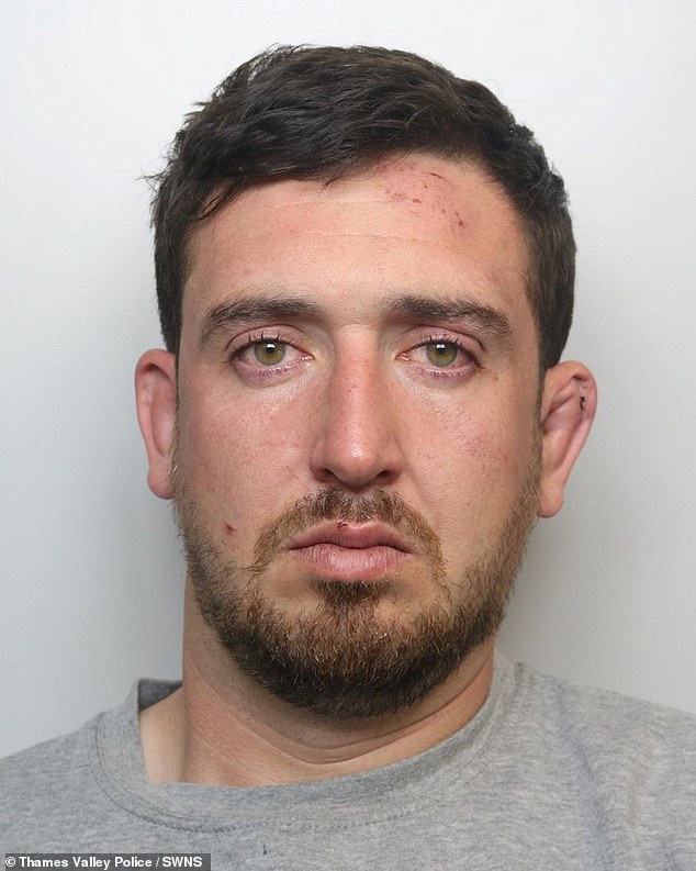 Daniel Peasnell, 33, admitted grievous bodily harm