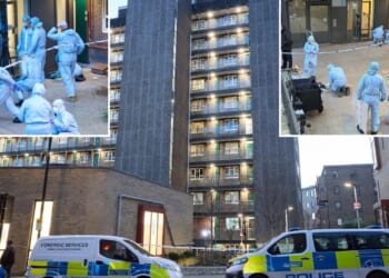 Man, 40, stabbed to death in flat as cops urgently search for killer