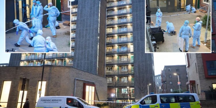 Man, 40, stabbed to death in flat as cops urgently search for killer