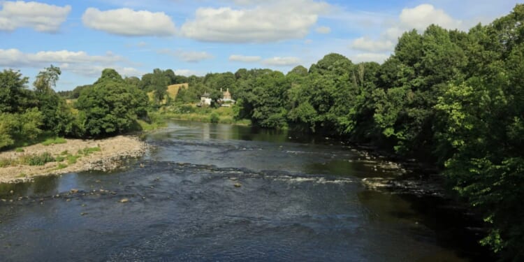 Frantic search for man seen swimming in river at popular beauty spot