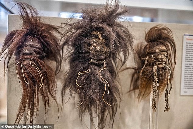 Some of the unusual items that have been found include bear pelt packed in salt, an Egyptian burial mask, a live rattlesnake and human shrunken heads (pictured)