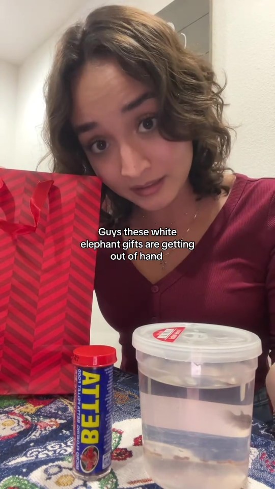 A woman with a red shirt and brown hair looks at the camera, next to a red gift bag, a container of fish food, and a clear container of water with small fish in it.