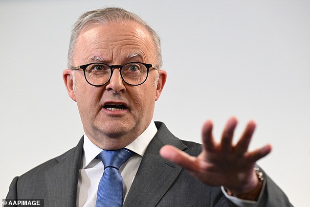 Australian prime minister Anthony Albanese described the social media ban as 'one of the biggest social and cultural changes our nation has faced'